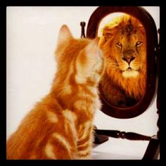 She Awakes From Her Slumber ~ Just Like A Lioness ~