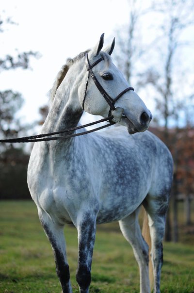 17943_1334814856668_1419972962_30929166_8258187_n