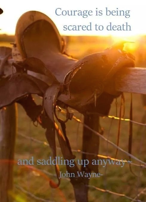 70a3fd2ae735c40f86c0159e973a1552