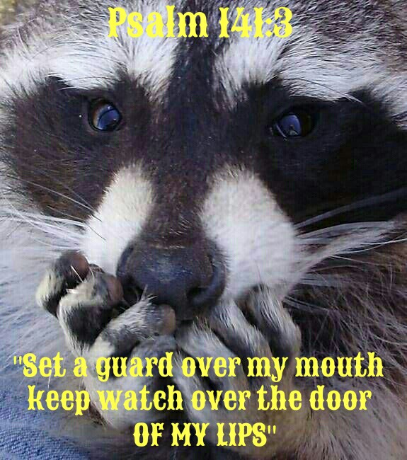 981ca61b3b7af9cd7d4b8b59e3a6af0e