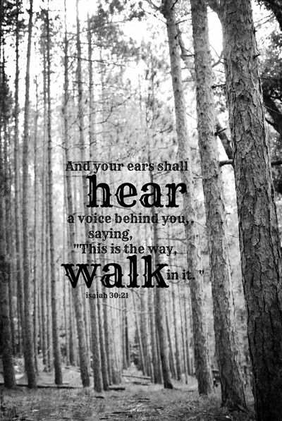 e996f09d9cdcccdcc34cf53461aaafec